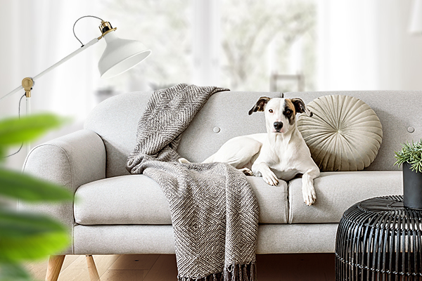 Как создать уют в гостиной без лишних затрат Как создать уют в гостиной без лишних затрат